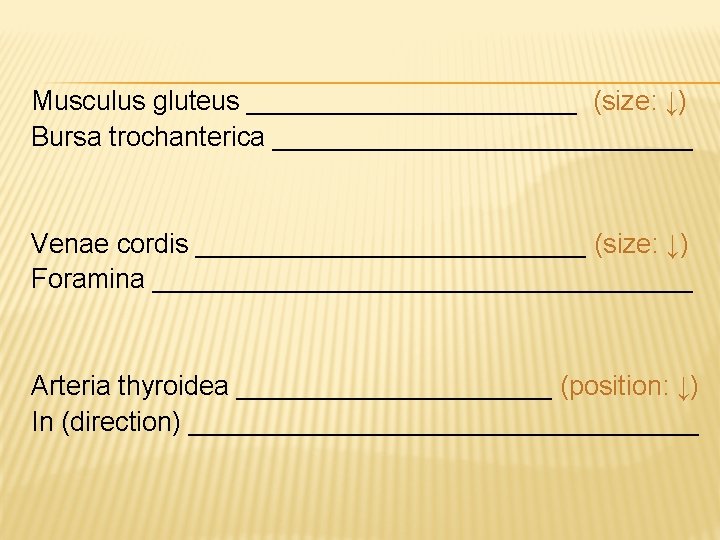 Musculus gluteus ___________ (size: ↓) Bursa trochanterica ______________ Venae cordis _____________ (size: ↓) Foramina