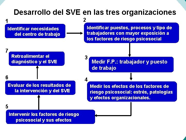 Desarrollo del SVE en las tres organizaciones 2 1 Identificar necesidades del centro de