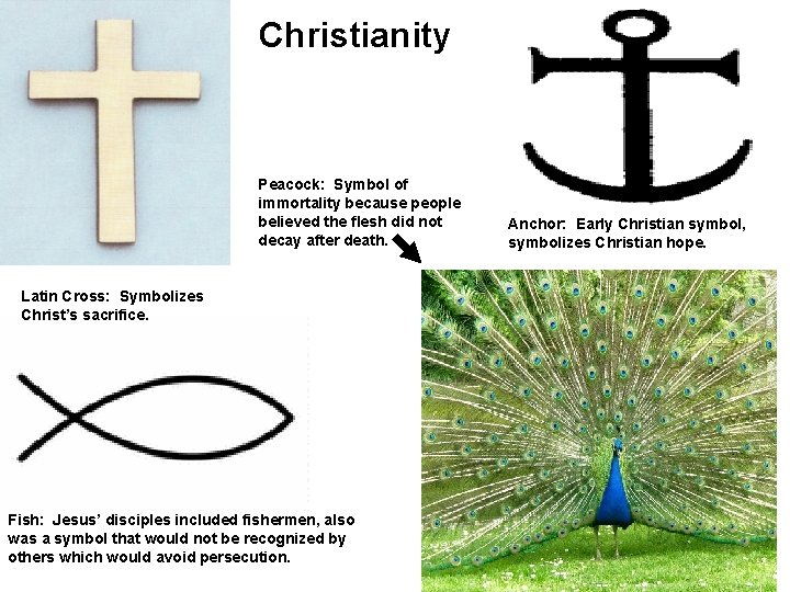 Christianity Peacock: Symbol of immortality because people believed the flesh did not decay after