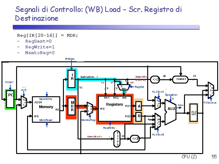 Segnali di Controllo: (WB) Load – Scr. Registro di Destinazione Reg[IR[20 -16]] = MDR;