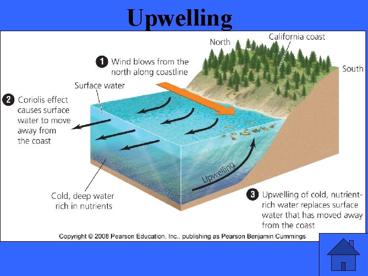 Upwelling 