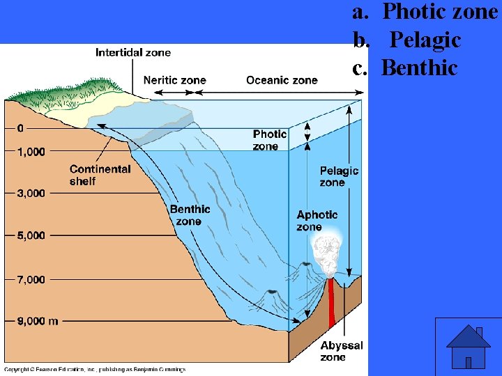 a. Photic zone b. Pelagic c. Benthic 