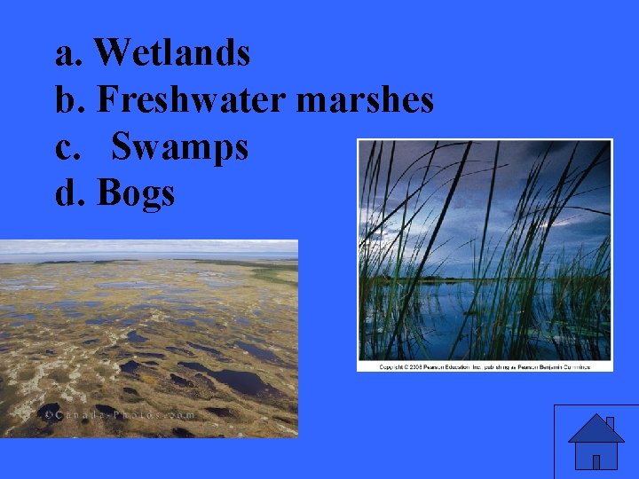 a. Wetlands b. Freshwater marshes c. Swamps d. Bogs 