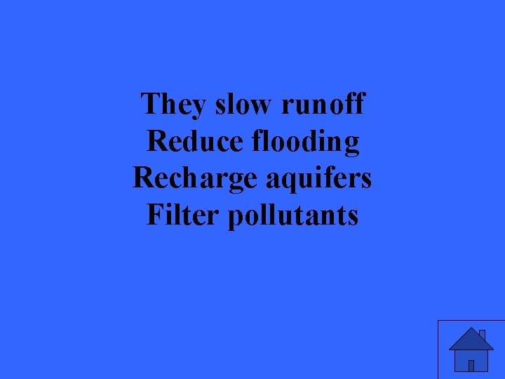 They slow runoff Reduce flooding Recharge aquifers Filter pollutants 