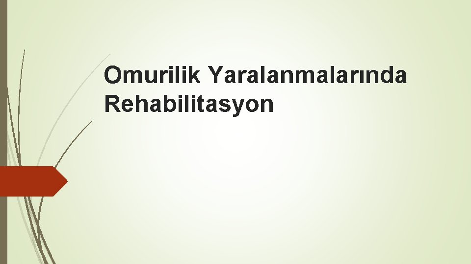 Omurilik Yaralanmalarında Rehabilitasyon 