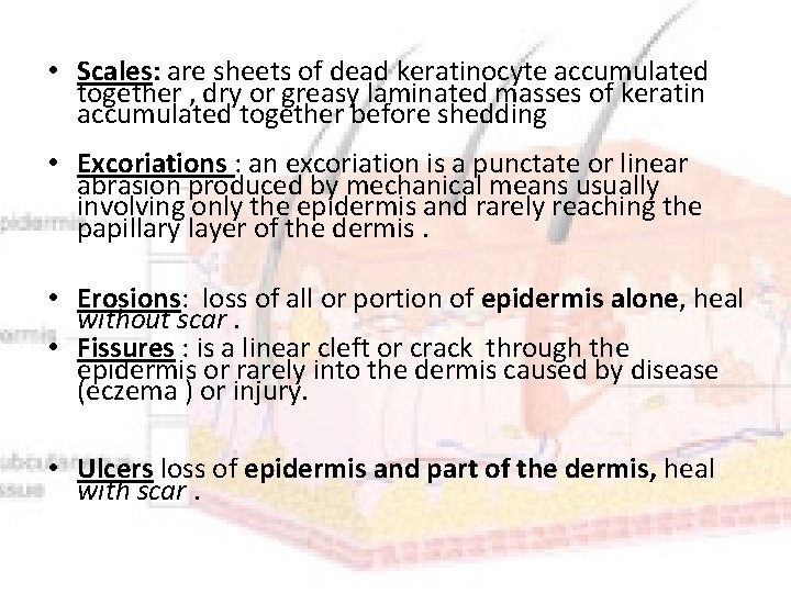  • Scales: are sheets of dead keratinocyte accumulated together , dry or greasy