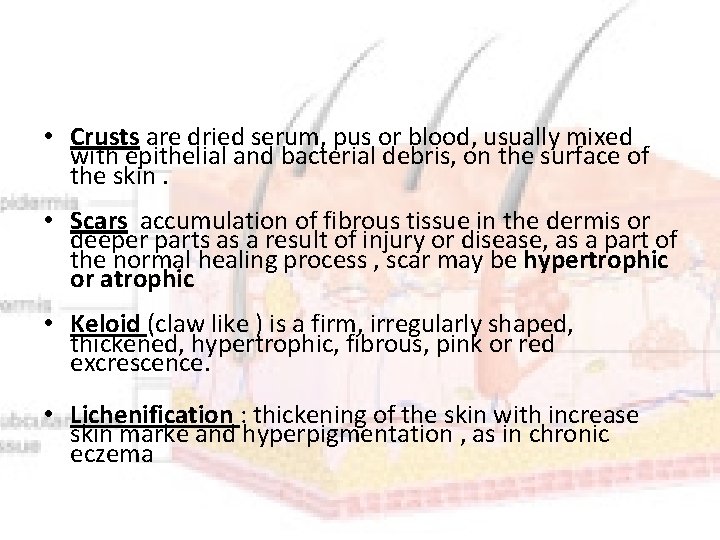  • Crusts are dried serum, pus or blood, usually mixed with epithelial and