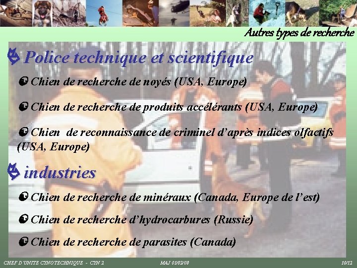 Autres types de recherche Police technique et scientifique Chien de recherche de noyés (USA, Autres types de recherche Police technique et scientifique Chien de recherche de noyés (USA,