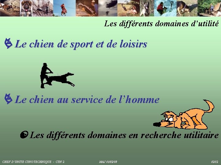 Les différents domaines d’utilité Le chien de sport et de loisirs Le chien au Les différents domaines d’utilité Le chien de sport et de loisirs Le chien au
