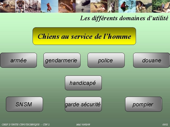 Les différents domaines d’utilité Chiens au service de l’homme armée gendarmerie police douane handicapé Les différents domaines d’utilité Chiens au service de l’homme armée gendarmerie police douane handicapé