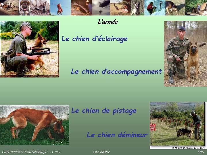 L’armée Le chien d’éclairage Le chien d’accompagnement Le chien de pistage Le chien démineur L’armée Le chien d’éclairage Le chien d’accompagnement Le chien de pistage Le chien démineur