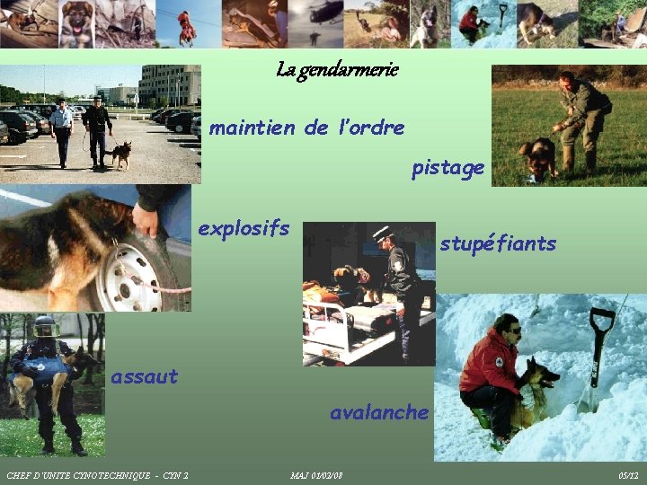 La gendarmerie maintien de l’ordre pistage explosifs stupéfiants assaut avalanche CHEF D’UNITE CYNOTECHNIQUE - La gendarmerie maintien de l’ordre pistage explosifs stupéfiants assaut avalanche CHEF D’UNITE CYNOTECHNIQUE -