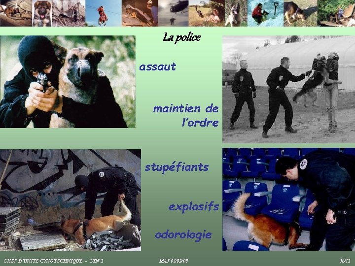 La police assaut maintien de l’ordre stupéfiants explosifs odorologie CHEF D’UNITE CYNOTECHNIQUE - CYN La police assaut maintien de l’ordre stupéfiants explosifs odorologie CHEF D’UNITE CYNOTECHNIQUE - CYN