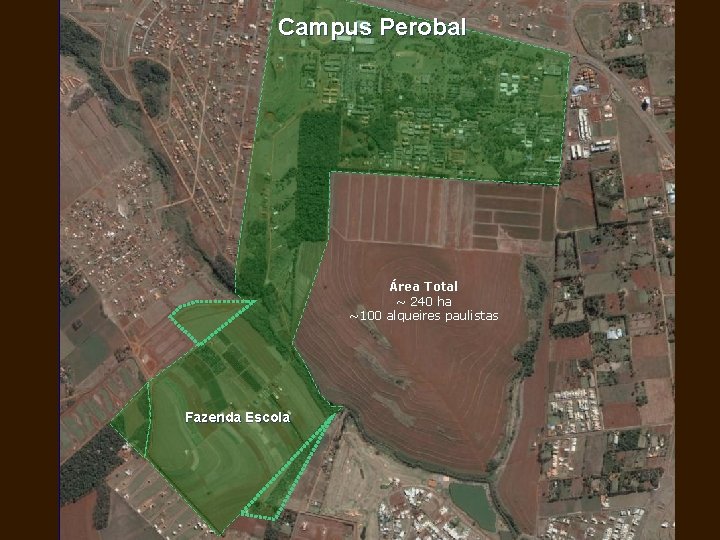 Campus Perobal Área Total ~ 240 ha ~100 alqueires paulistas Fazenda Escola 