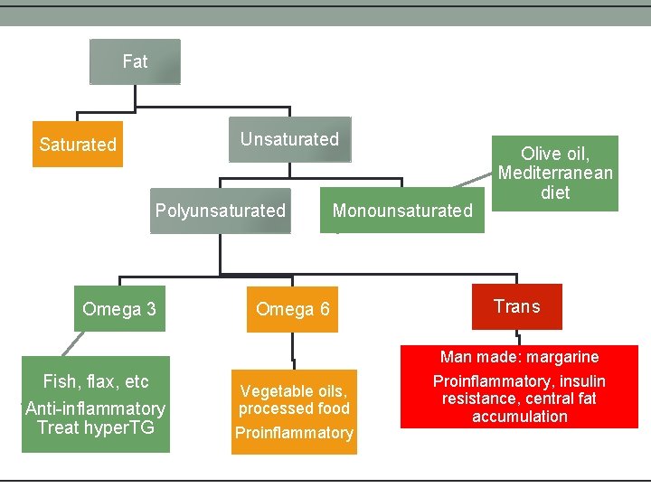 Fat Unsaturated Saturated Polyunsaturated Omega 3 Monounsaturated Omega 6 Olive oil, Mediterranean diet Trans