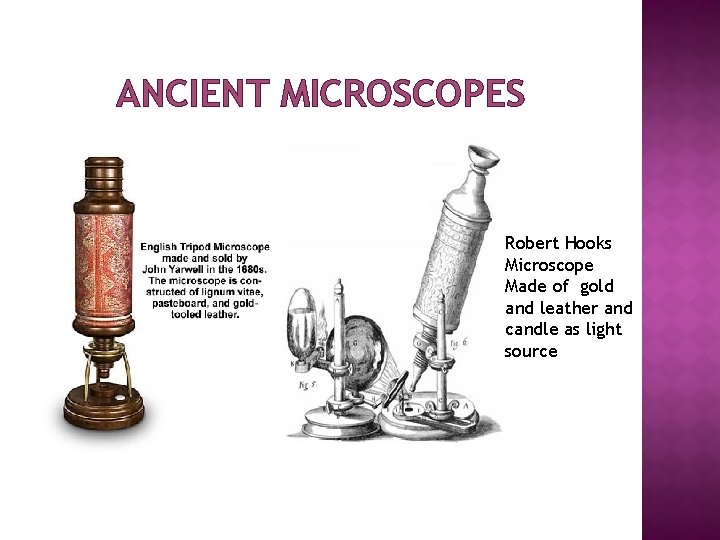 ANCIENT MICROSCOPES Robert Hooks Microscope Made of gold and leather and candle as light