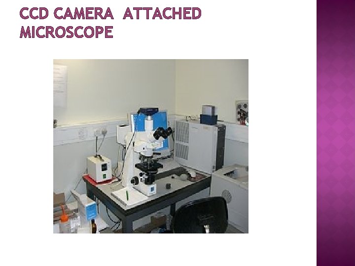 CCD CAMERA ATTACHED MICROSCOPE 