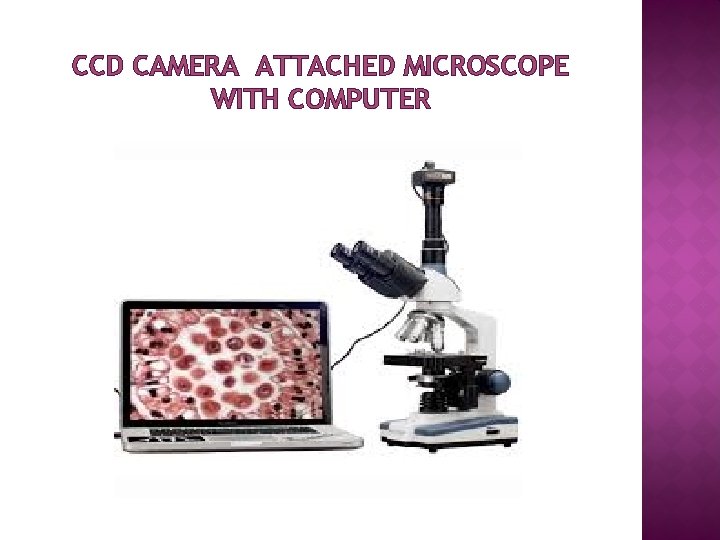 CCD CAMERA ATTACHED MICROSCOPE WITH COMPUTER 