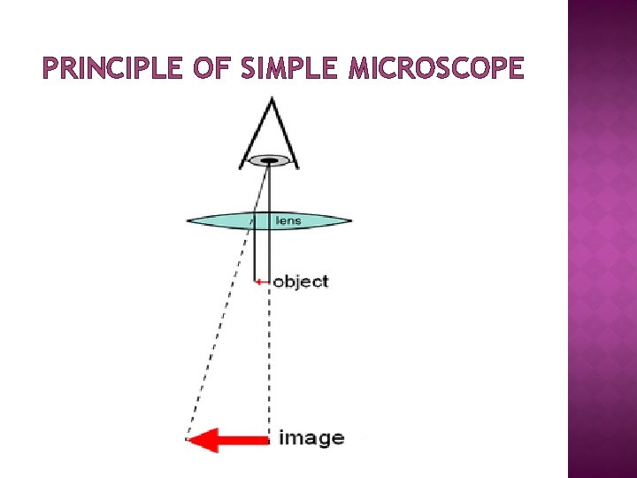 PRINCIPLE OF SIMPLE MICROSCOPE 