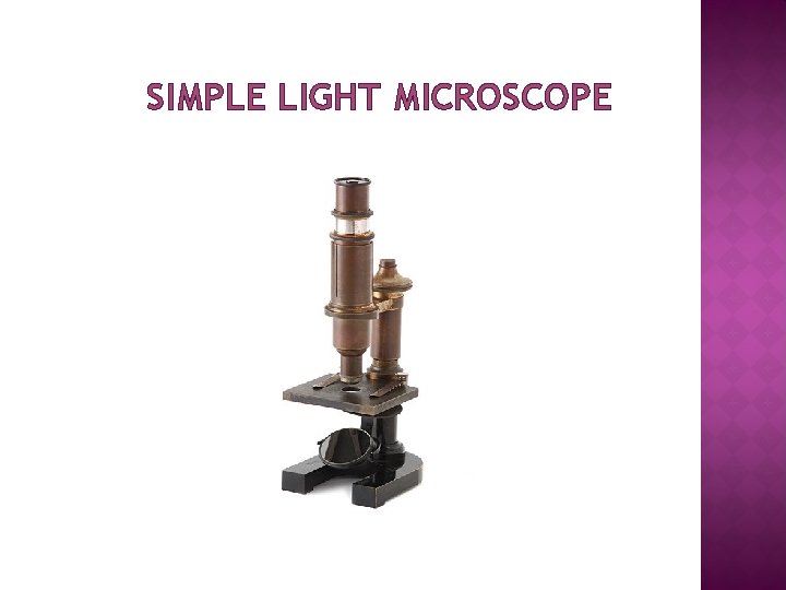 SIMPLE LIGHT MICROSCOPE 