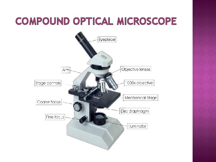 COMPOUND OPTICAL MICROSCOPE 