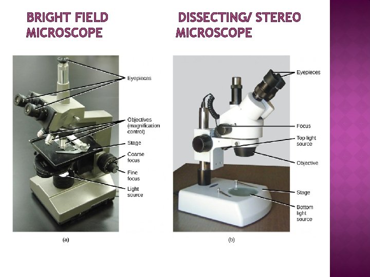 BRIGHT FIELD MICROSCOPE DISSECTING/ STEREO MICROSCOPE 