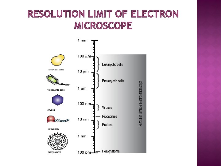 RESOLUTION LIMIT OF ELECTRON MICROSCOPE 