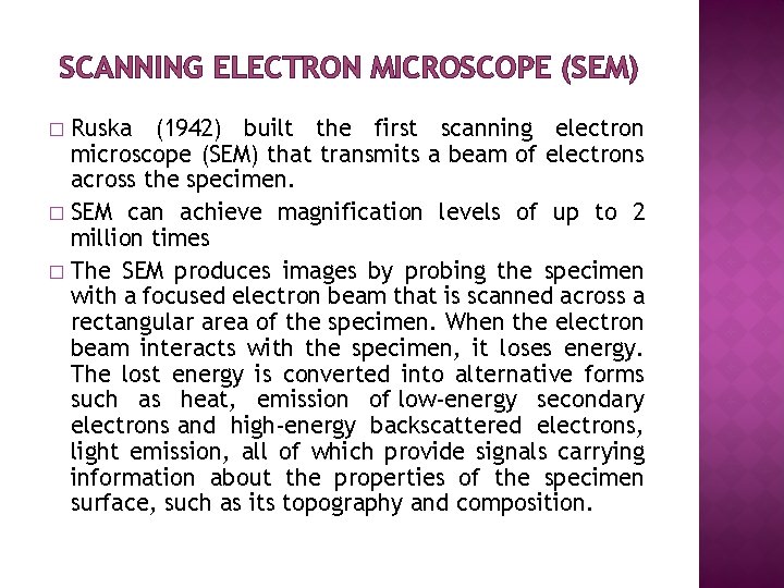 SCANNING ELECTRON MICROSCOPE (SEM) Ruska (1942) built the first scanning electron microscope (SEM) that