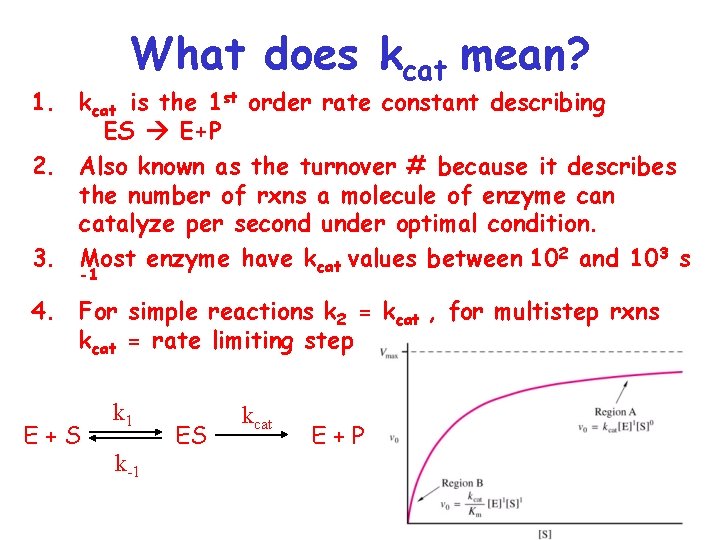What does kcat mean? 1. kcat is the 1 st order rate constant describing