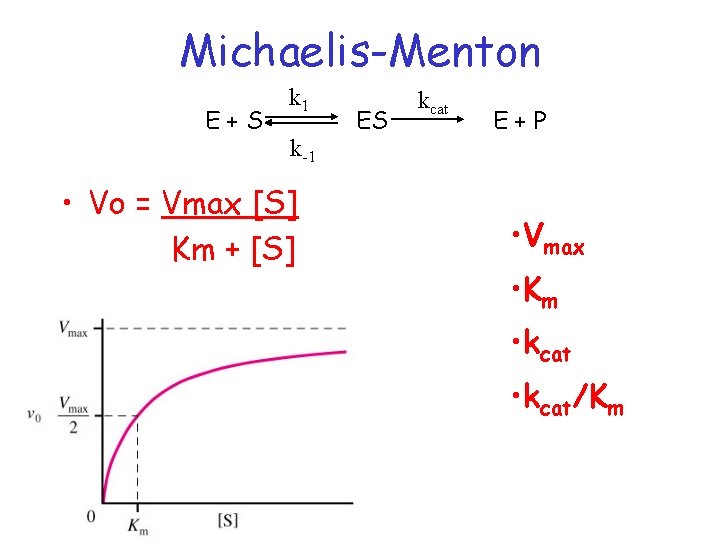 Michaelis-Menton E+S k 1 k-1 • Vo = Vmax [S] Km + [S] •