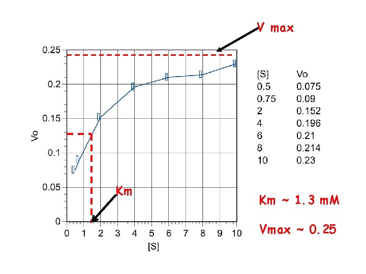 V max Km Km ~ 1. 3 m. M Vmax ~ 0. 25 