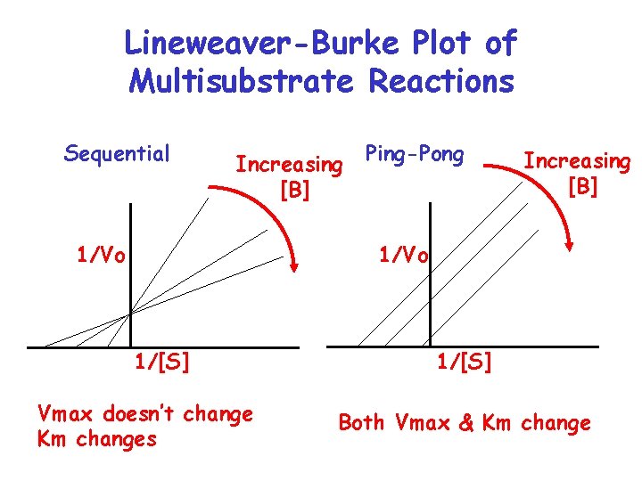 Lineweaver-Burke Plot of Multisubstrate Reactions Sequential Increasing [B] Ping-Pong Increasing [B] 1/Vo 1/[S] Vmax