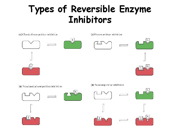 Types of Reversible Enzyme Inhibitors 