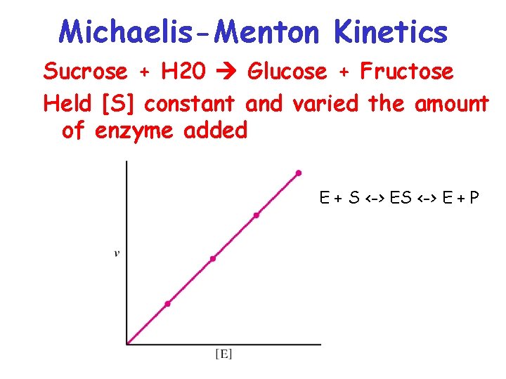 Michaelis-Menton Kinetics Sucrose + H 20 Glucose + Fructose Held [S] constant and varied