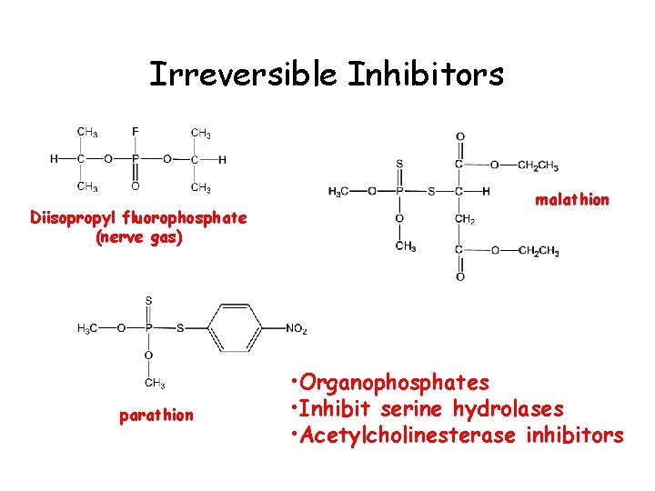 Irreversible Inhibitors Diisopropyl fluorophosphate (nerve gas) parathion malathion • Organophosphates • Inhibit serine hydrolases