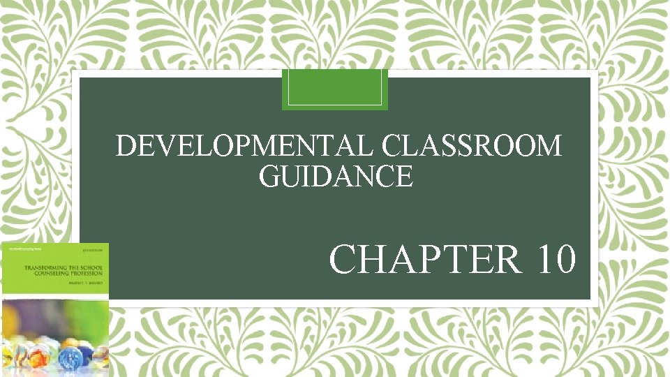 DEVELOPMENTAL CLASSROOM GUIDANCE CHAPTER 10 