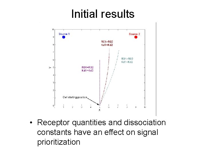 Initial results • Receptor quantities and dissociation constants have an effect on signal prioritization