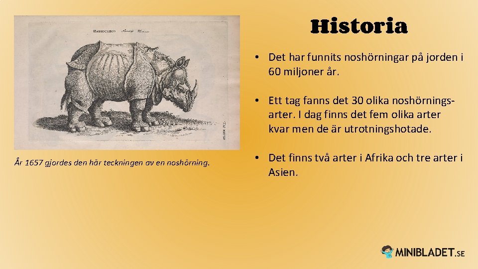 Historia • Det har funnits noshörningar på jorden i 60 miljoner år. • Ett