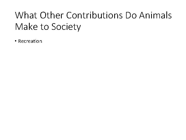 What Other Contributions Do Animals Make to Society • Recreation 