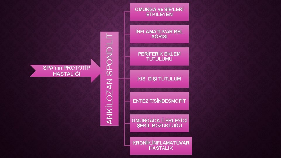 SPA’nın PROTOTİP HASTALIĞI ANKİLOZAN SPONDİLİT OMURGA ve SİE’LERİ ETKİLEYEN İNFLAMATUVAR BEL AĞRISI PERİFERİK EKLEM