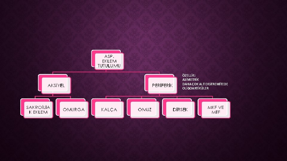 ÖZELLİK: ASİMETRİK DAHA ÇOK ALT EKSTREMİTEDE OLİGOARTİKÜLER 