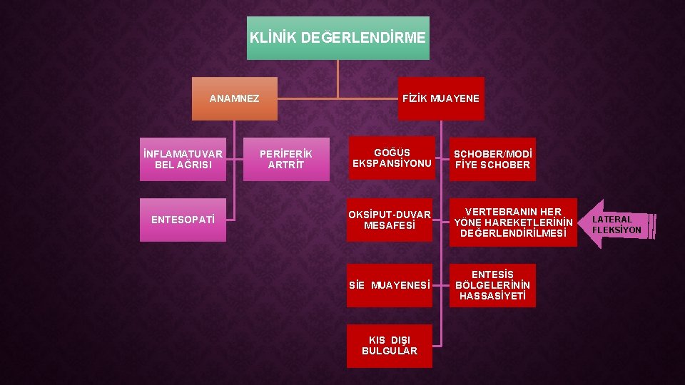 KLİNİK DEĞERLENDİRME ANAMNEZ İNFLAMATUVAR BEL AĞRISI ENTESOPATİ FİZİK MUAYENE PERİFERİK ARTRİT GÖĞÜS EKSPANSİYONU SCHOBER/MODİ