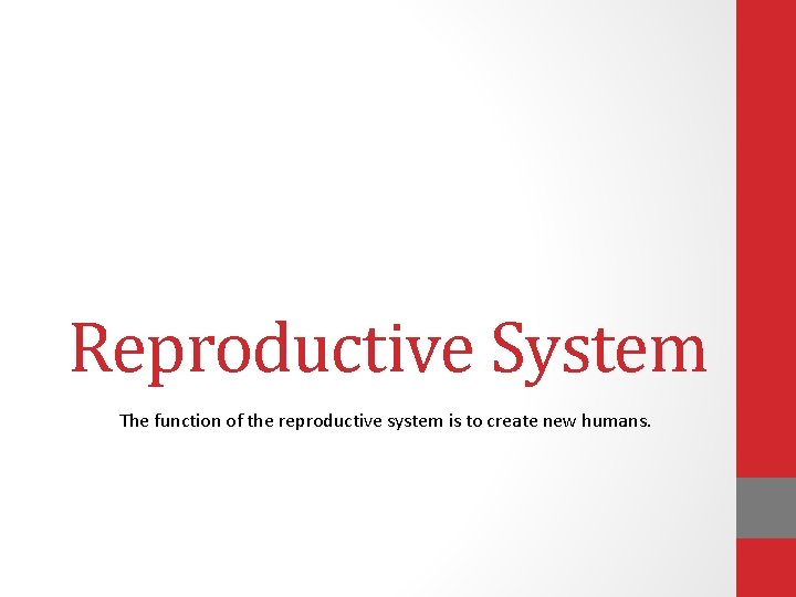 Reproductive System The function of the reproductive system is to create new humans. 