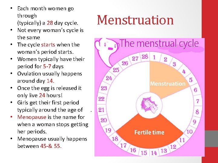• Each month women go through (typically) a 28 day cycle. • Not • Each month women go through (typically) a 28 day cycle. • Not