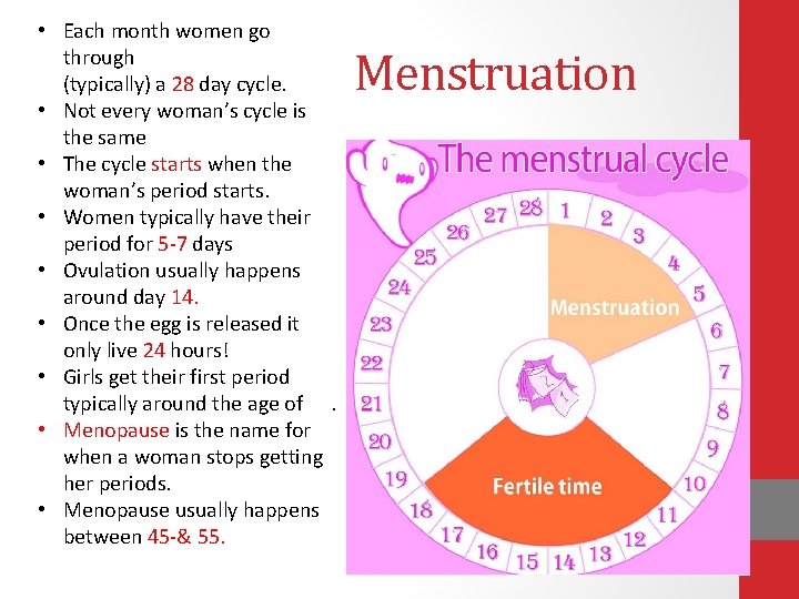  • Each month women go through (typically) a 28 day cycle. • Not