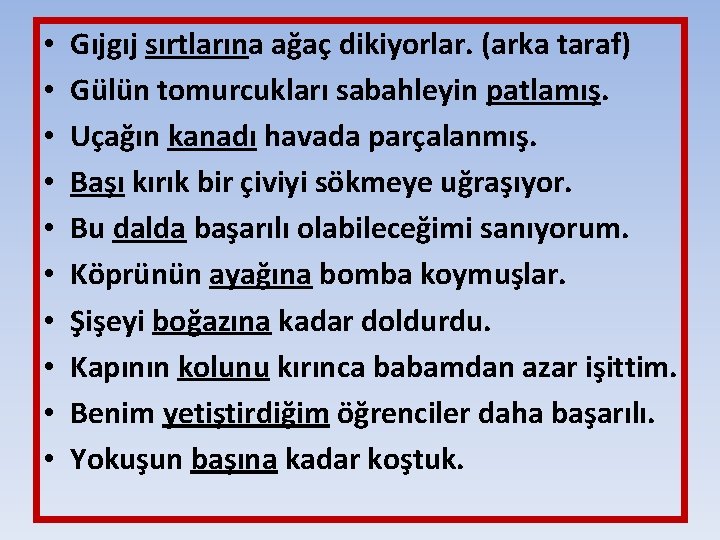  • • • Gıjgıj sırtlarına ağaç dikiyorlar. (arka taraf) Gülün tomurcukları sabahleyin patlamış.