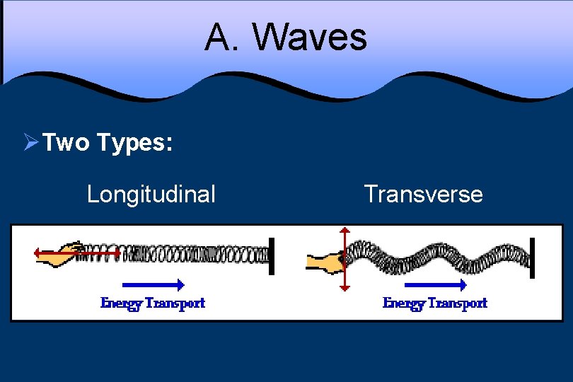 A. Waves ØTwo Types: Longitudinal Transverse 