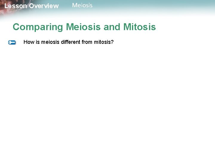 Lesson Overview Meiosis Comparing Meiosis and Mitosis How is meiosis different from mitosis? 