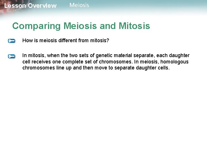 Lesson Overview Meiosis Comparing Meiosis and Mitosis How is meiosis different from mitosis? In