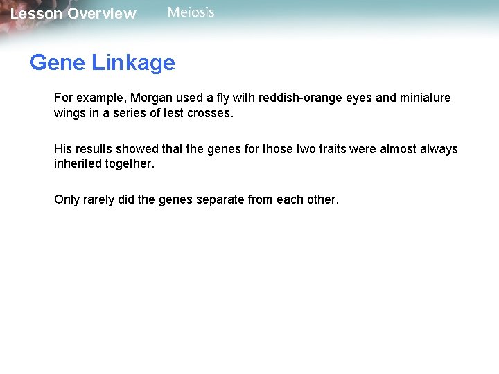 Lesson Overview Meiosis Gene Linkage For example, Morgan used a fly with reddish-orange eyes
